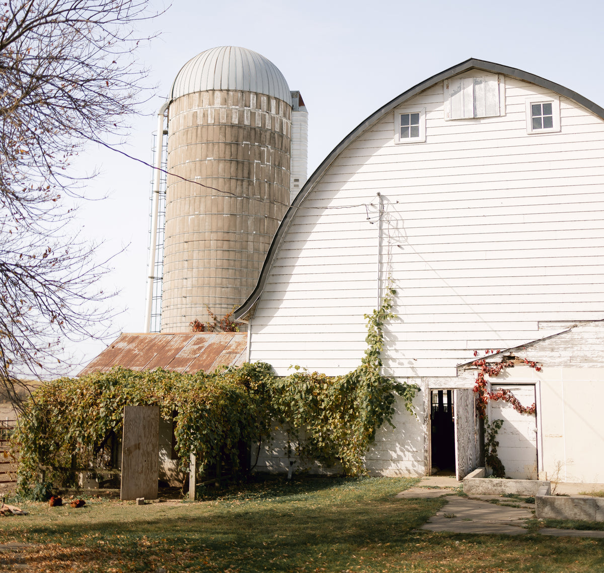 white barn with silo